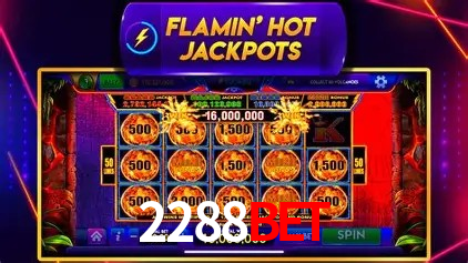 2288bet Salvador - Promo Stats